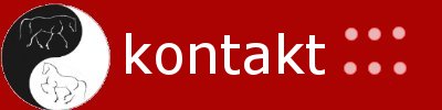kontakt